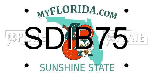 SDIB75 Florida License Plate