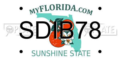 SDIB78 Florida License Plate