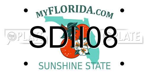 SDII08 Florida License Plate