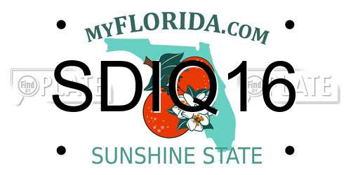 SDIQ16 Florida License Plate
