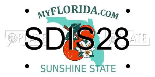 SDIS28 Florida License Plate