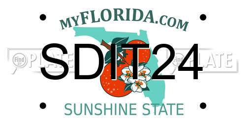 SDIT24 Florida License Plate