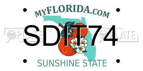 SDIT74 Florida License Plate