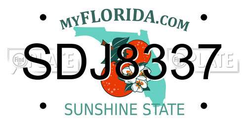 SDJ8337 Florida License Plate