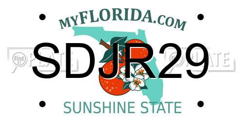 SDJR29 Florida License Plate
