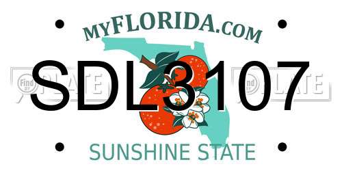 SDL3107 Florida License Plate