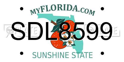 SDL8599 Florida License Plate