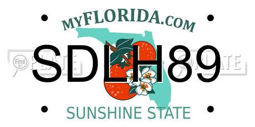 SDLH89 Florida License Plate