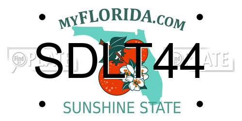 SDLT44 Florida License Plate