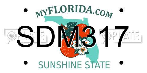 SDM317 Florida License Plate