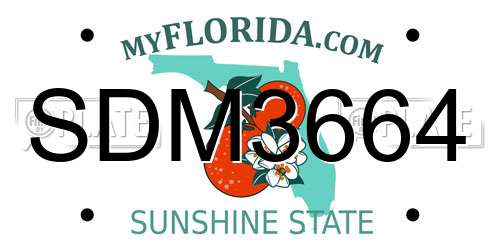 SDM3664 Florida License Plate