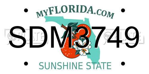 SDM3749 Florida License Plate