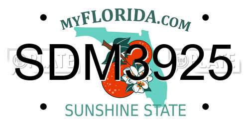 SDM3925 Florida License Plate
