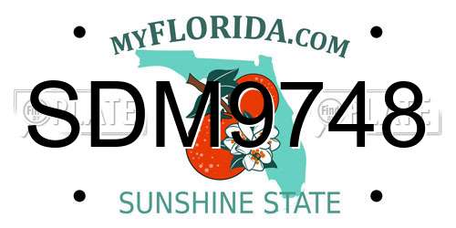 SDM9748 Florida License Plate