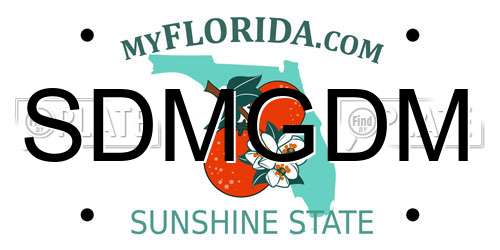 SDMGDM Florida License Plate