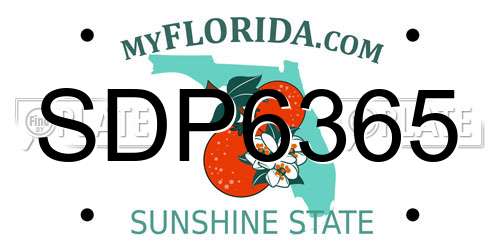 SDP6365 Florida License Plate