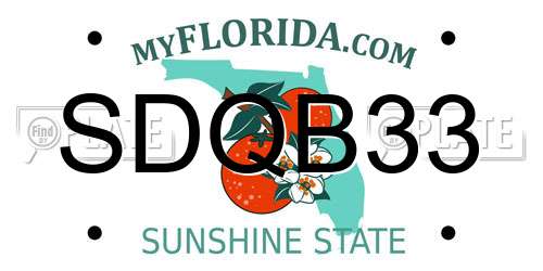 SDQB33 Florida License Plate