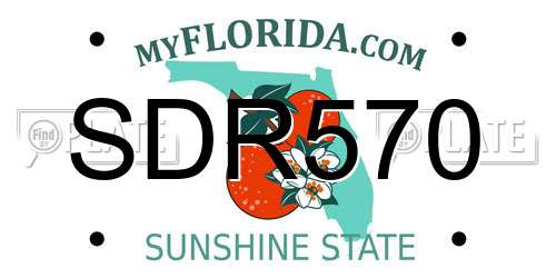 SDR570 Florida License Plate
