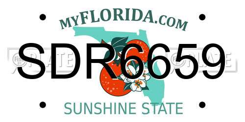 SDR6659 Florida License Plate