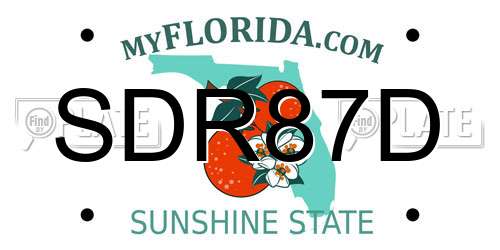 SDR87D Florida License Plate