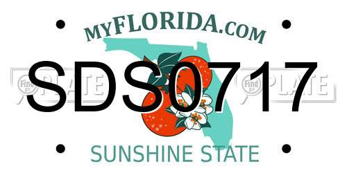 SDS0717 Florida License Plate