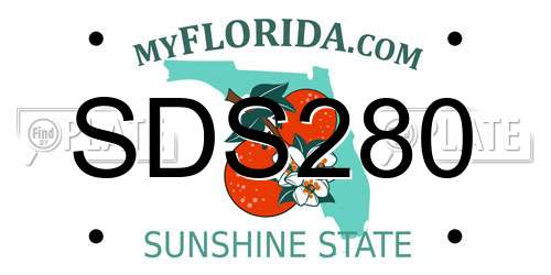 SDS280 Florida License Plate
