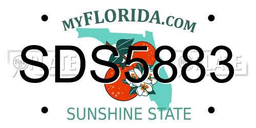 SDS5883 Florida License Plate