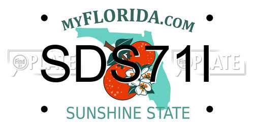 SDS71I Florida License Plate
