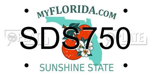 SDS750 Florida License Plate