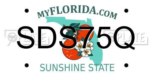 SDS75Q Florida License Plate