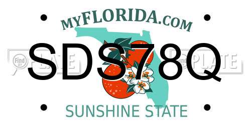 SDS78Q Florida License Plate