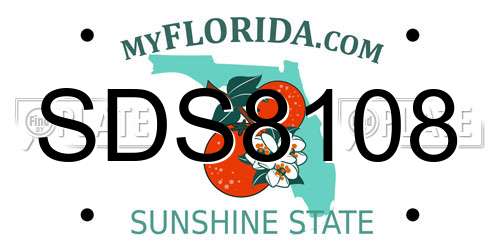 SDS8108 Florida License Plate