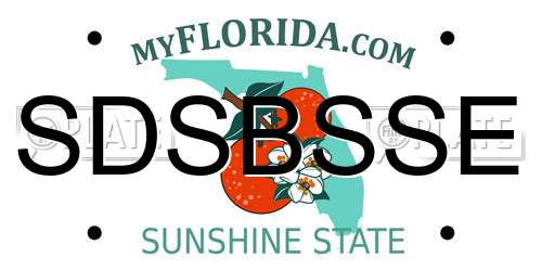 SDSBSSE Florida License Plate