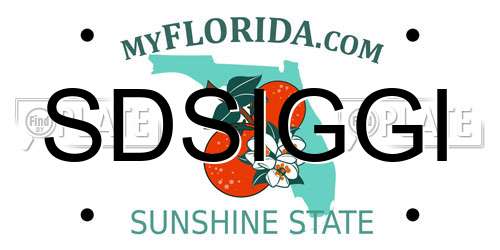 SDSIGGI Florida License Plate