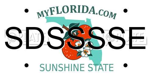 SDSSSSE Florida License Plate