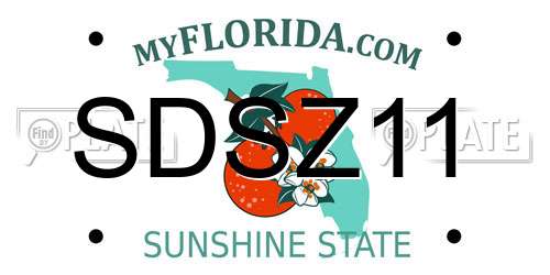 SDSZ11 Florida License Plate
