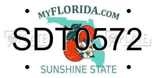 SDT0572 Florida License Plate