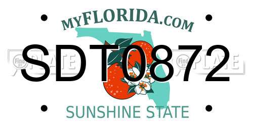 SDT0872 Florida License Plate