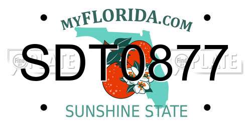 SDT0877 Florida License Plate