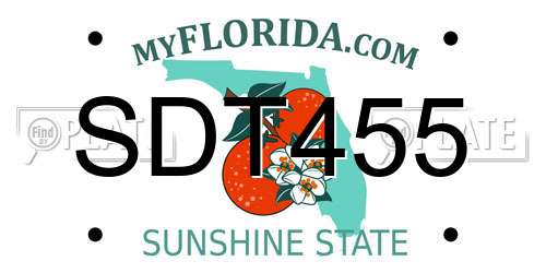 SDT455 Florida License Plate