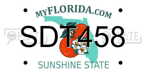 SDT458 Florida License Plate
