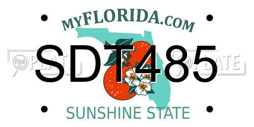 SDT485 Florida License Plate