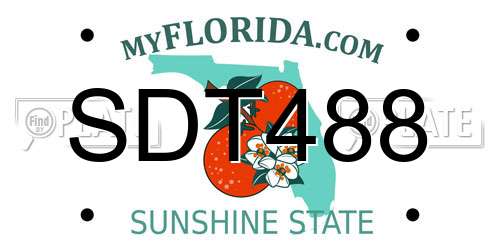 SDT488 Florida License Plate