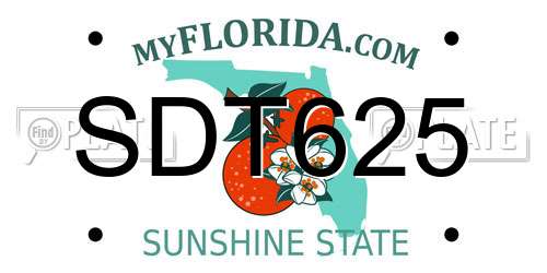 SDT625 Florida License Plate