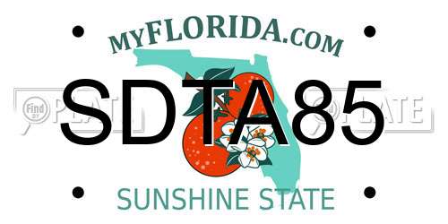 SDTA85 Florida License Plate