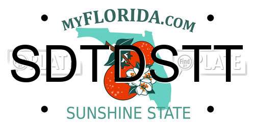 SDTDSTT Florida License Plate
