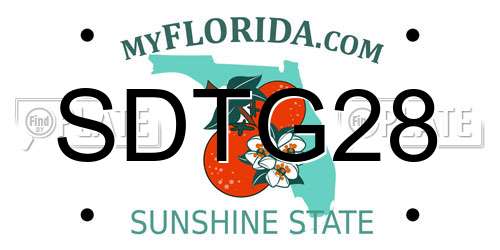 SDTG28 Florida License Plate