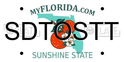SDTOSTT Florida License Plate