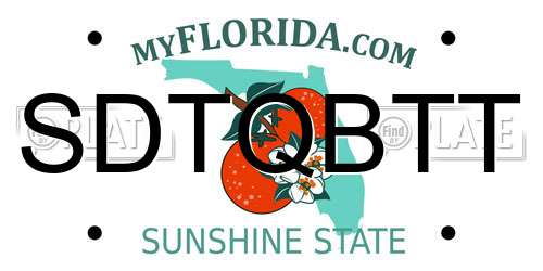 SDTQBTT Florida License Plate