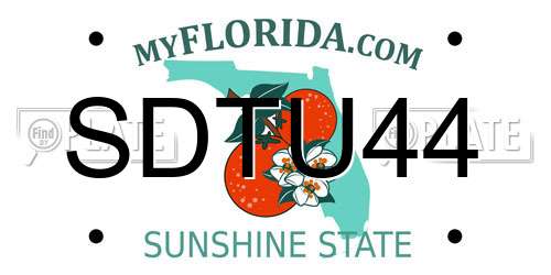 SDTU44 Florida License Plate